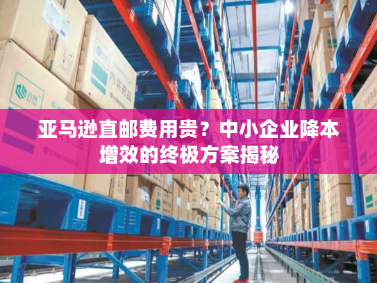 亚马逊直邮费用贵？中小企业降本增效的终极方案揭秘