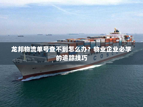 龙邦物流单号查不到怎么办？物业企业必学的追踪技巧