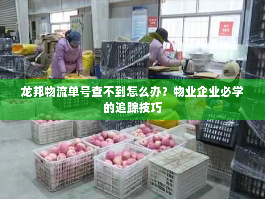 龙邦物流单号查不到怎么办？物业企业必学的追踪技巧