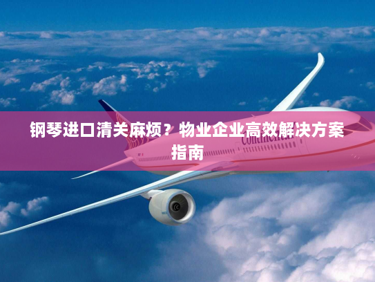 钢琴进口清关麻烦?物业企业高效解决方案指南 钢琴进口清关麻烦?物业企业高效解决方案指南