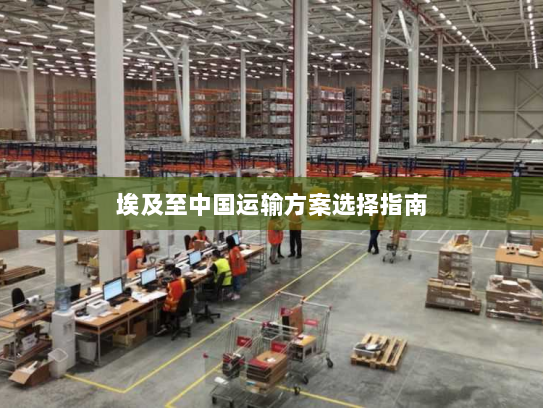 埃及至中国运输方案选择指南 埃及至中国运输方案选择指南