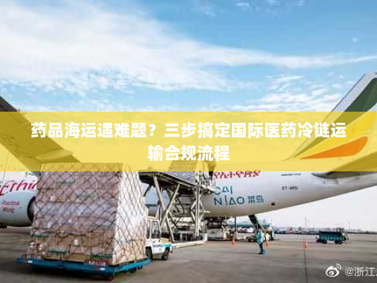 药品海运遇难题？三步搞定国际医药冷链运输合规流程