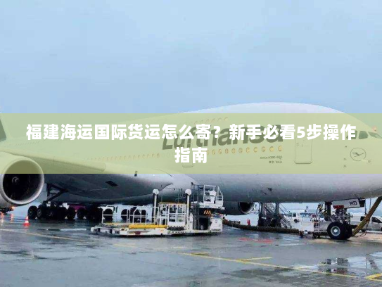 福建海运国际货运怎么寄?新手必看5步操作指南 福建海运国际货运怎么寄?新手必看5步操作指南