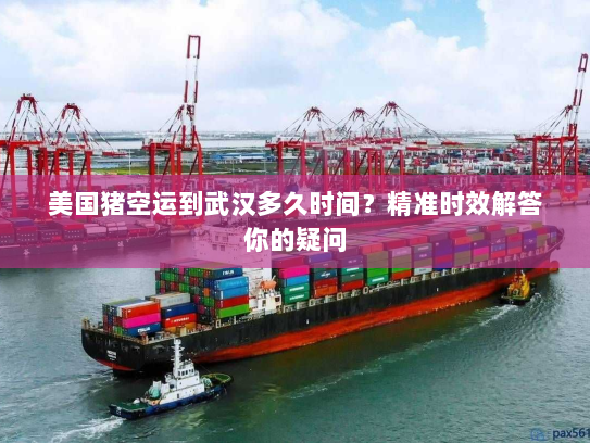 美国猪空运到武汉多久时间？精准时效解答你的疑问