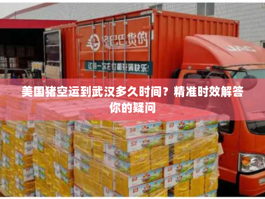 美国猪空运到武汉多久时间？精准时效解答你的疑问