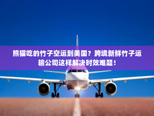 熊猫吃的竹子空运到美国？跨境新鲜竹子运输公司这样解决时效难题！