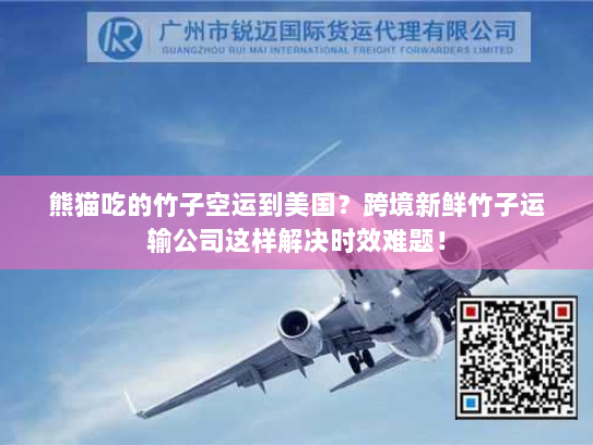 熊猫吃的竹子空运到美国？跨境新鲜竹子运输公司这样解决时效难题！