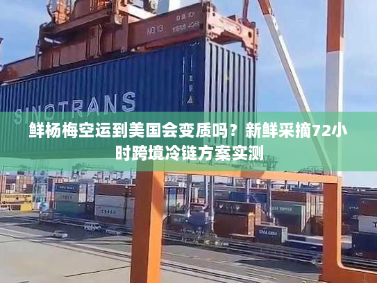 鲜杨梅空运到美国会变质吗?新鲜采摘72小时跨境冷链方案实测 鲜杨梅空运到美国会变质吗?新鲜采摘72小时跨境冷链方案实测