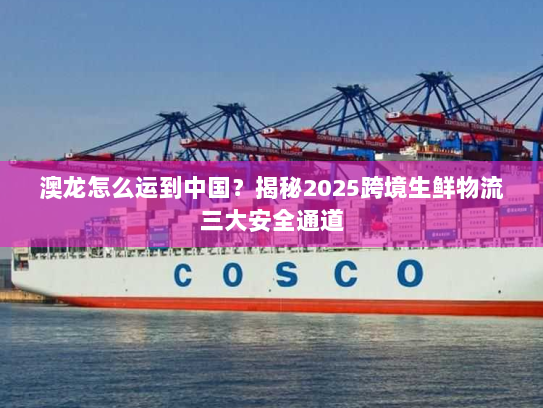 澳龙怎么运到中国？揭秘2025跨境生鲜物流三大安全通道