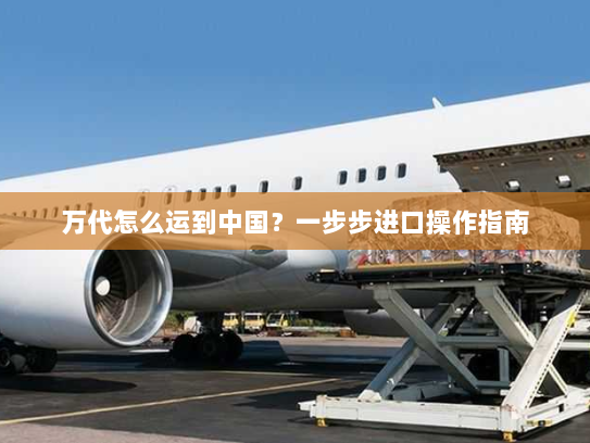万代怎么运到中国？一步步进口操作指南