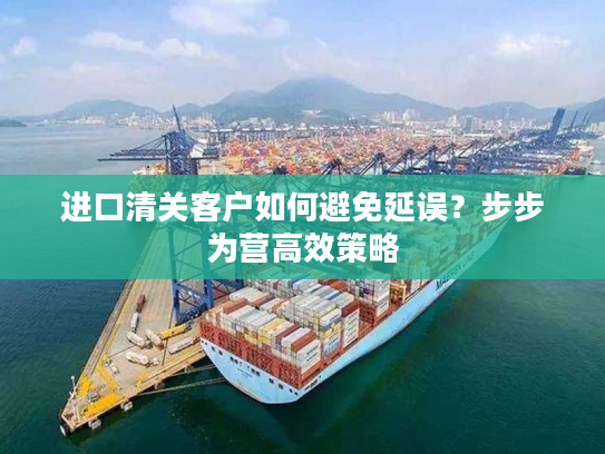 进口清关客户如何避免延误？步步为营高效策略