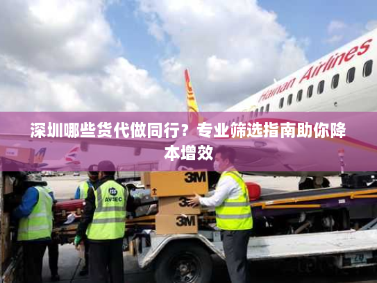 深圳哪些货代做同行?专业筛选指南助你降本增效 深圳哪些货代做同行?专业筛选指南助你降本增效