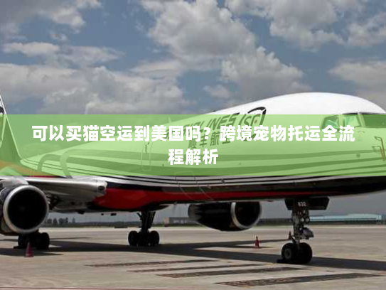 可以买猫空运到美国吗？跨境宠物托运全流程解析