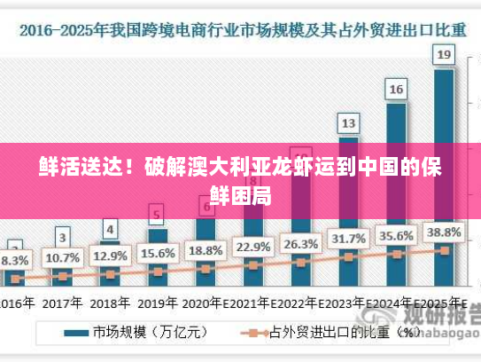 鲜活送达!破解澳大利亚龙虾运到中国的保鲜困局 鲜活送达!破解澳大利亚龙虾运到中国的保鲜困局