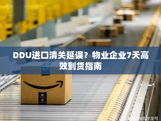 DDU进口清关延误？物业企业7天高效到货指南