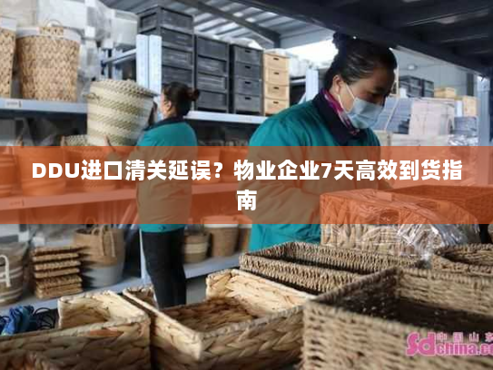 DDU进口清关延误?物业企业7天高效到货指南 DDU进口清关延误?物业企业7天高效到货指南