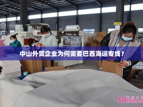 中山外贸企业为何需要巴西海运专线? 中山外贸企业为何需要巴西海运专线?