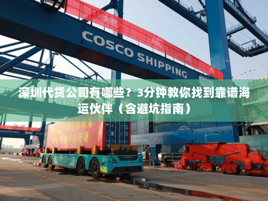 深圳代货公司有哪些？3分钟教你找到靠谱海运伙伴（含避坑指南）