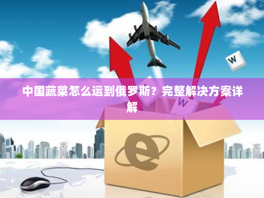 中国蔬菜怎么运到俄罗斯?完整解决方案详解 中国蔬菜怎么运到俄罗斯?完整解决方案详解