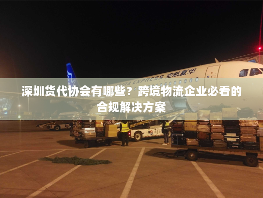 深圳货代协会有哪些？跨境物流企业必看的合规解决方案