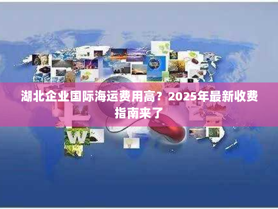 湖北企业国际海运费用高？2025年最新收费指南来了