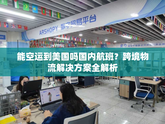能空运到美国吗国内航班?跨境物流解决方案全解析 能空运到美国吗国内航班?跨境物流解决方案全解析