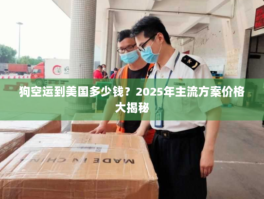 狗空运到美国多少钱?2025年主流方案价格大揭秘 狗空运到美国多少钱?2025年主流方案价格大揭秘