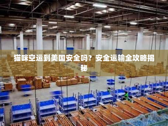 猫咪空运到美国安全吗?安全运输全攻略揭秘 猫咪空运到美国安全吗?安全运输全攻略揭秘