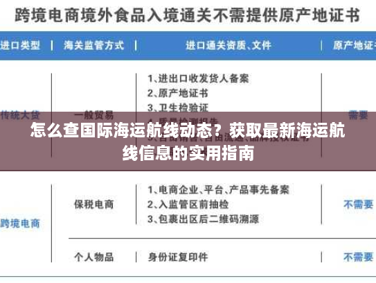 怎么查国际海运航线动态?获取最新海运航线信息的实用指南 怎么查国际海运航线动态?获取最新海运航线信息的实用指南