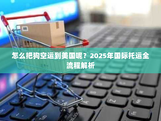 怎么把狗空运到美国呢?2025年国际托运全流程解析 怎么把狗空运到美国呢?2025年国际托运全流程解析