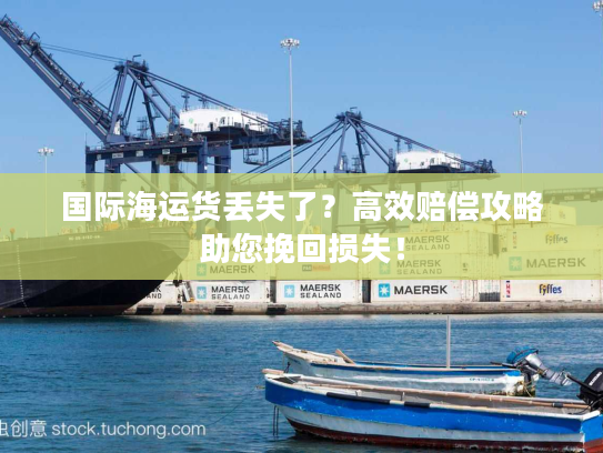国际海运货丢失了?高效赔偿攻略助您挽回损失! 国际海运货丢失了?高效赔偿攻略助您挽回损失!