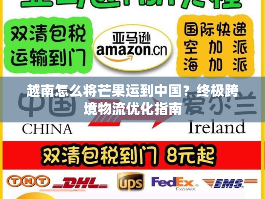 越南怎么将芒果运到中国？终极跨境物流优化指南