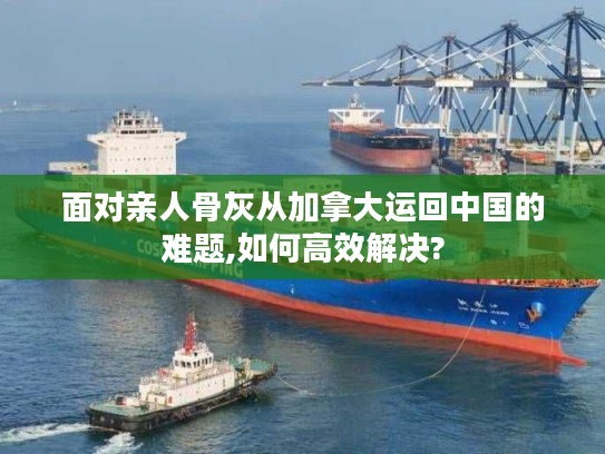 面对亲人骨灰从加拿大运回中国的难题,如何高效解决?