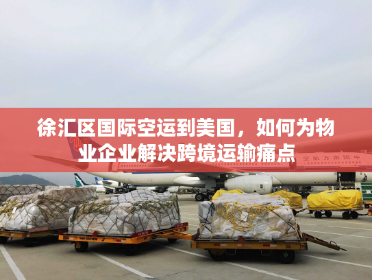 徐汇区国际空运到美国，如何为物业企业解决跨境运输痛点
