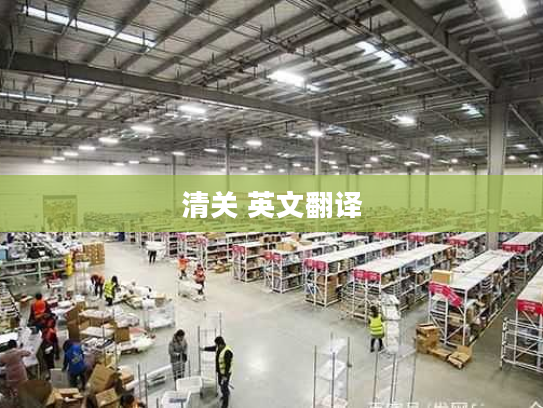 清关 英文翻译