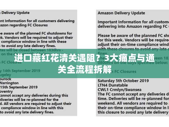 进口藏红花清关遇阻?3大痛点与通关全流程拆解 进口藏红花清关遇阻?3大痛点与通关全流程拆解