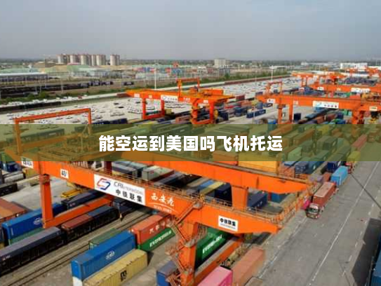 能空运到美国吗飞机托运 能空运到美国吗飞机托运