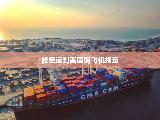 能空运到美国吗飞机托运 能空运到美国吗飞机托运