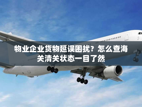 物业企业货物延误困扰？怎么查海关清关状态一目了然