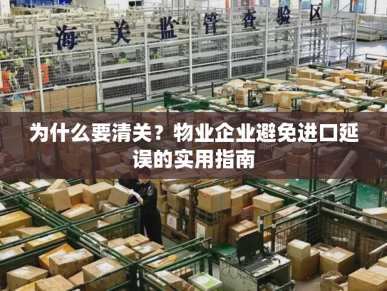 为什么要清关?物业企业避免进口延误的实用指南 为什么要清关?物业企业避免进口延误的实用指南
