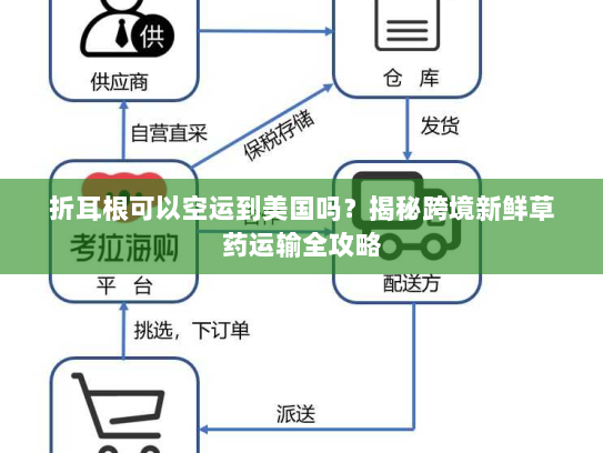 折耳根可以空运到美国吗？揭秘跨境新鲜草药运输全攻略