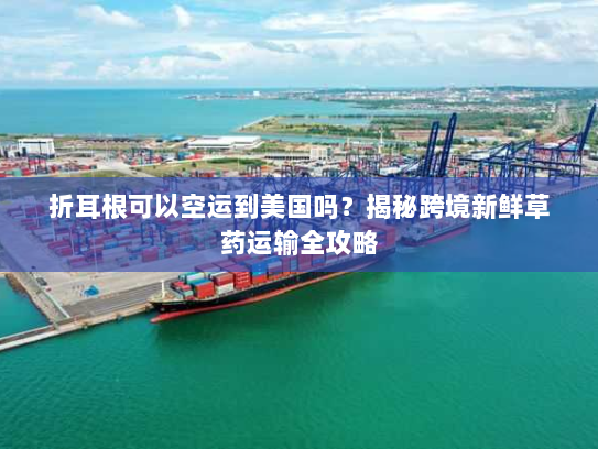 折耳根可以空运到美国吗？揭秘跨境新鲜草药运输全攻略