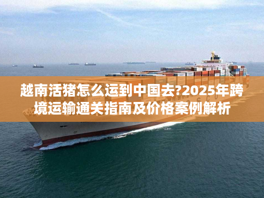 越南活猪怎么运到中国去?2025年跨境运输通关指南及价格案例解析