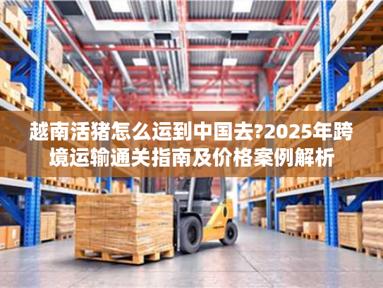 越南活猪怎么运到中国去?2025年跨境运输通关指南及价格案例解析