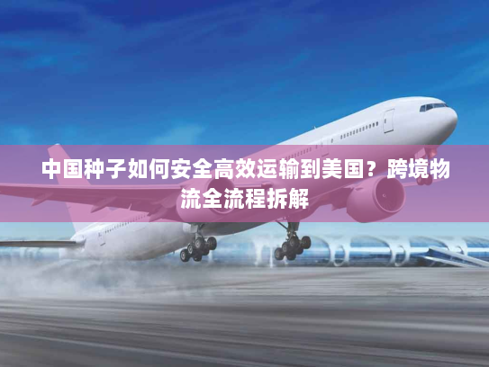 中国种子如何安全高效运输到美国？跨境物流全流程拆解