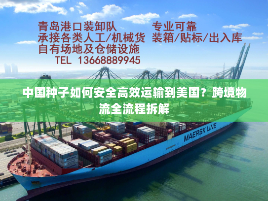 中国种子如何安全高效运输到美国？跨境物流全流程拆解