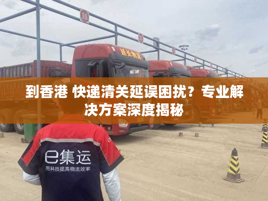 到香港 快递清关延误困扰？专业解决方案深度揭秘