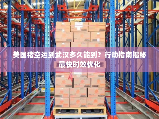 美国猪空运到武汉多久能到？行动指南揭秘最快时效优化