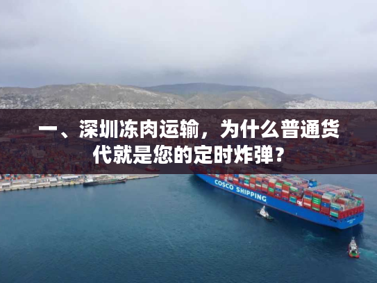 一、深圳冻肉运输，为什么普通货代就是您的定时炸弹？