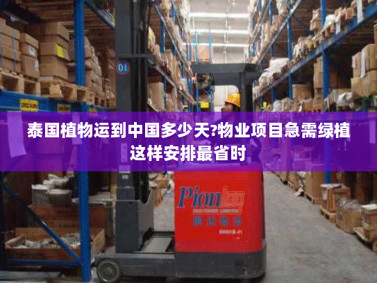 泰国植物运到中国多少天?物业项目急需绿植这样安排最省时 泰国植物运到中国多少天?物业项目急需绿植这样安排最省时